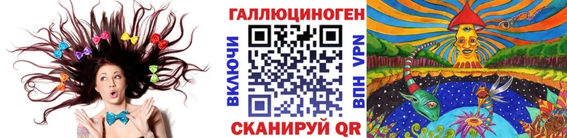 где можно купить   Курчалой  МЕГА маркетплейс  Галлюциногенные грибы прущие грибы 