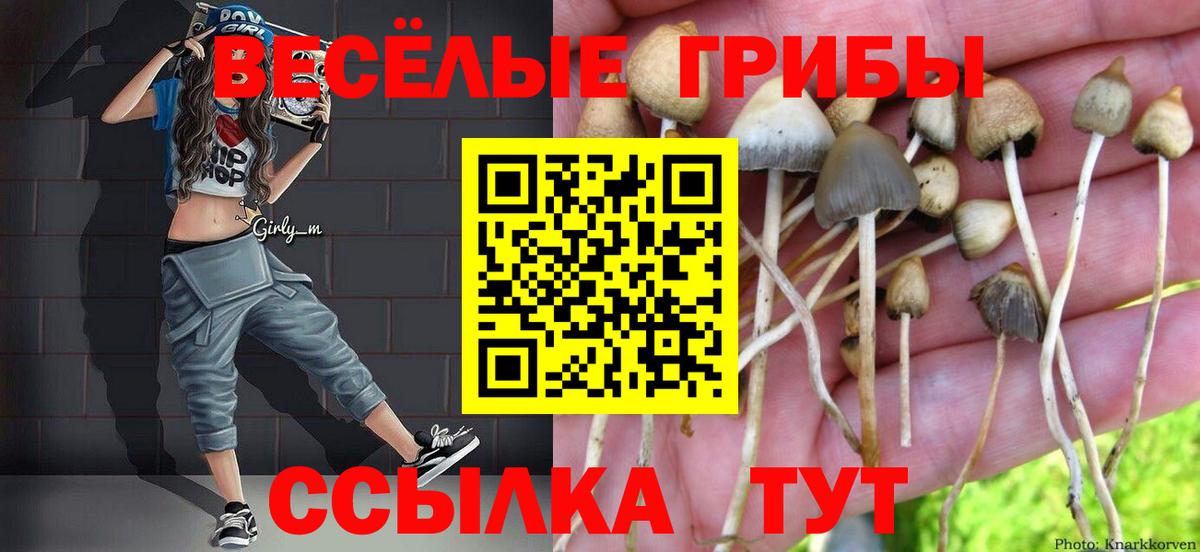 Псилоцибиновые грибы Psilocybine cubensis  Псилоцибиновые грибы мухоморы  Вход с VPN  Курчалой 
