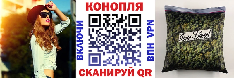 купить   Курчалой  Бошки Шишки ГИДРОПОН 