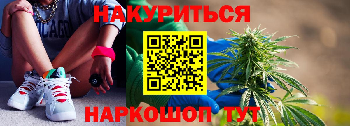 Конопля индика Курчалой